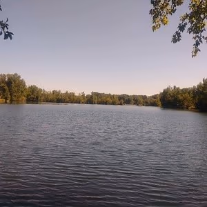 Irene Rinehart Riverfront Park photo 1